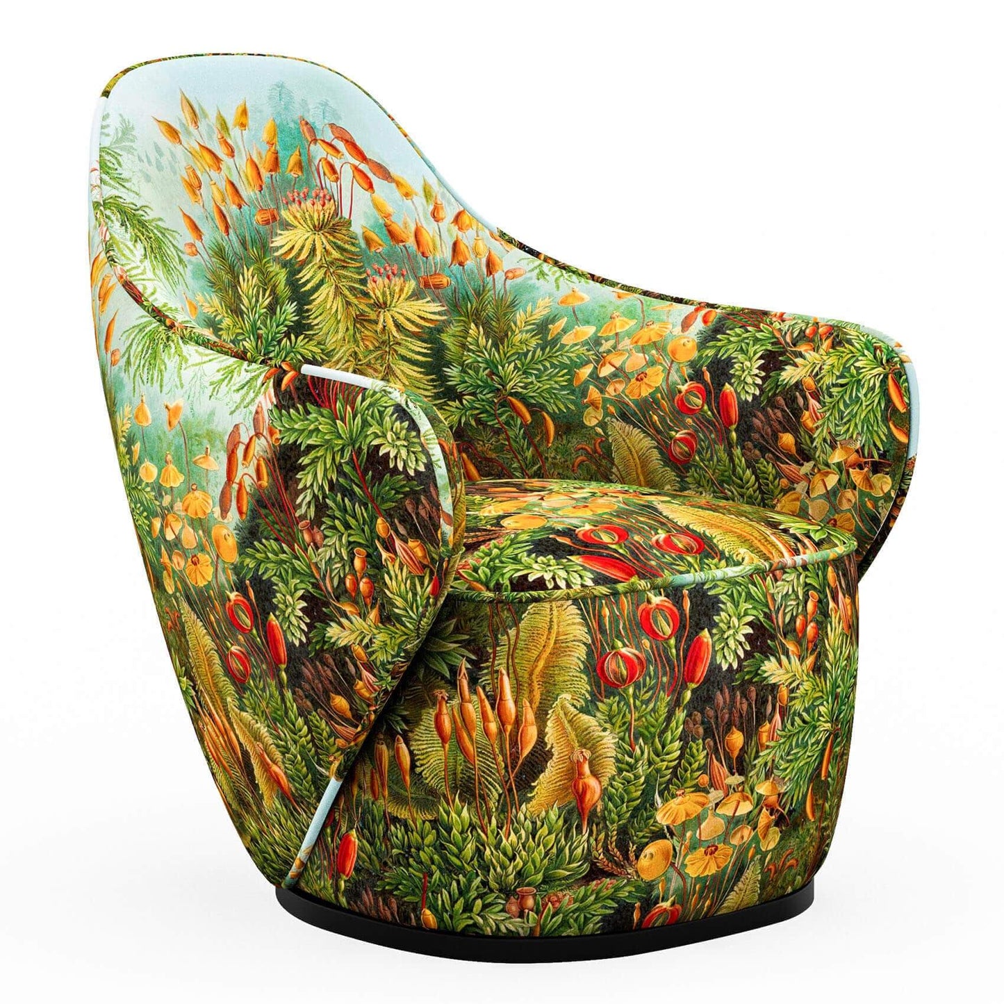 Ernst Haeckel armchair