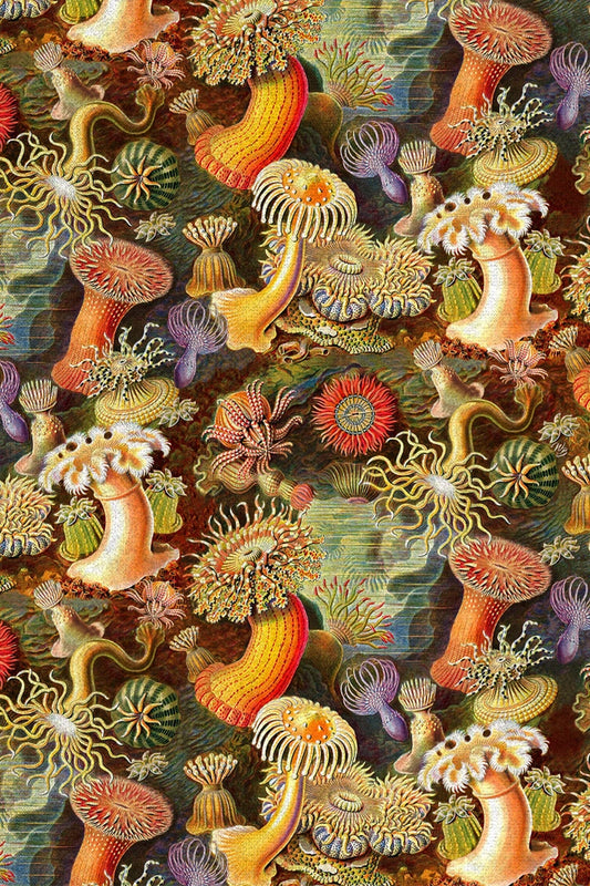 Actiniae by Ernst Haeckel Print Fabric 3 Meters