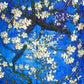 Blue Almond Blossom Shirt