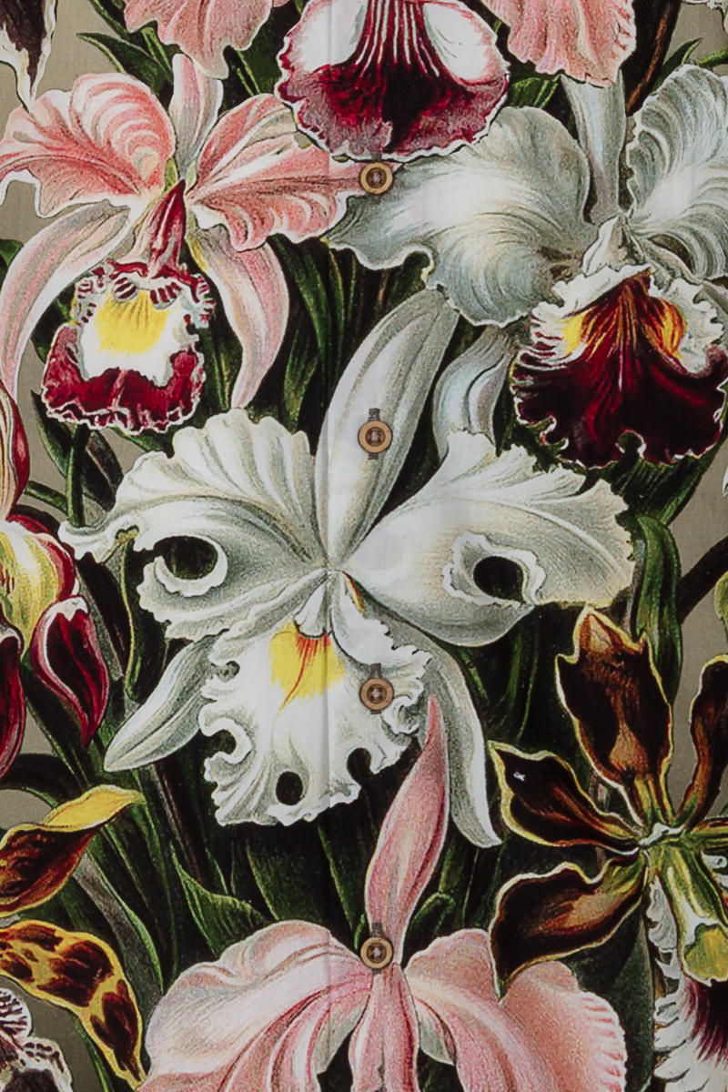 Orchids by Ernst Haeckel Print Long Sleeve Shirt for Men