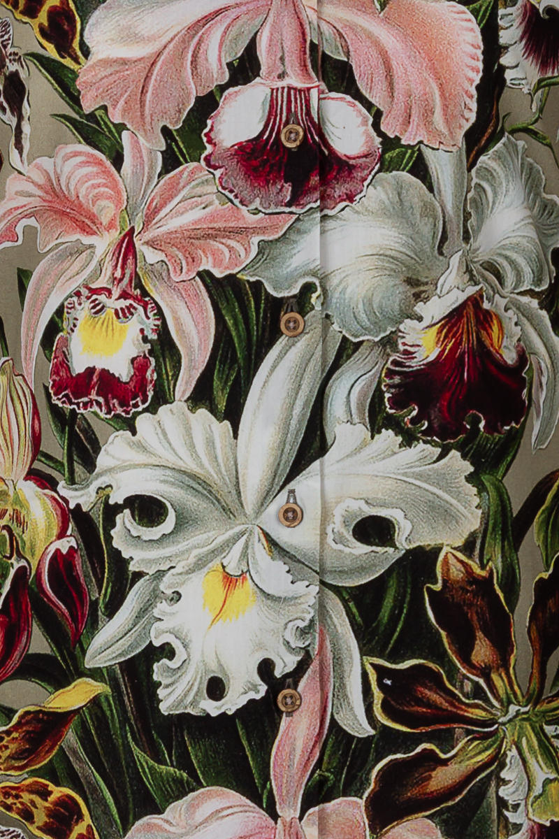 Orchids by Ernst Haeckel Print Long Sleeve Shirt for Women