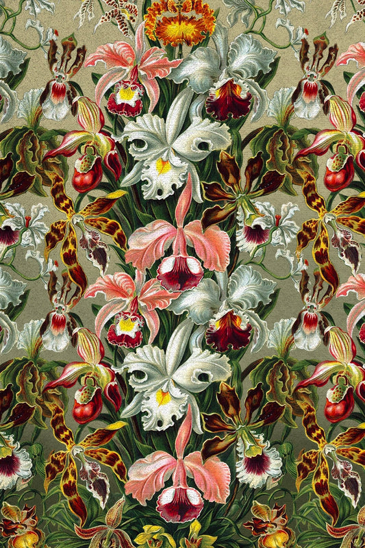 Orchids by Ernst Haeckel Print Fabric 3 Meters