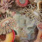 Actiniae by Ernst Haeckel Print Long Sleeve Shirt for Men