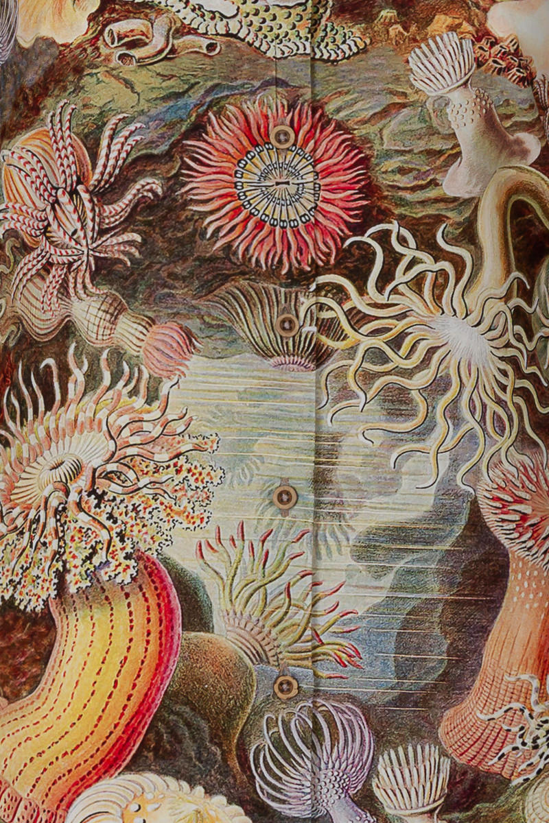 Actiniae by Ernst Haeckel Print Long Sleeve Shirt for Women