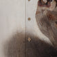 The Goldfinch Print Long Sleeve Shirt for Men