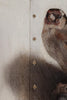 The Goldfinch Print Long Sleeve Shirt for Men