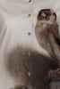 The Goldfinch Print Long Sleeve Shirt for Women
