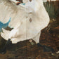 The Threatened Swan Print Long Sleeve Shirt for Men