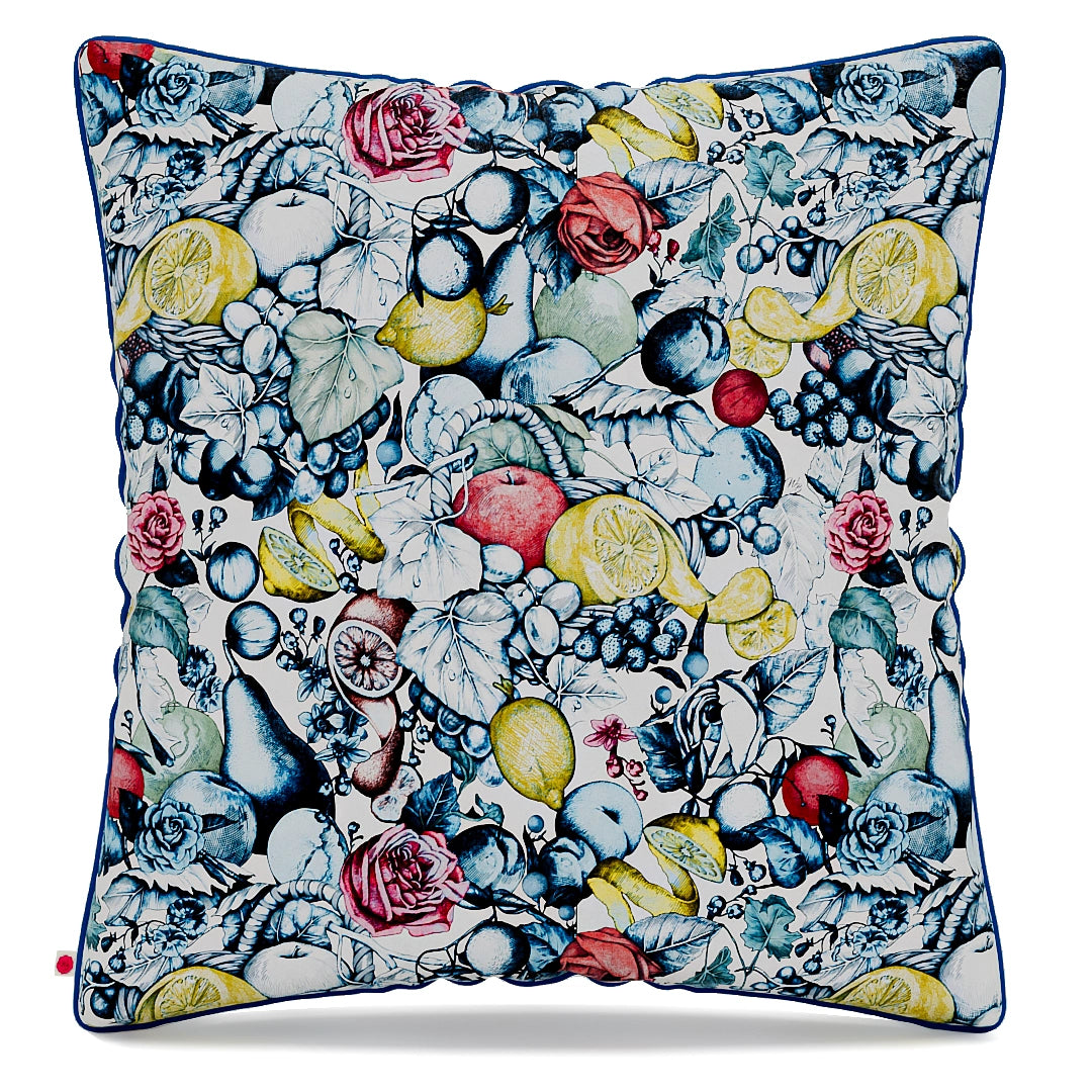 Wonderful Fruit Pieces inspired Pillow