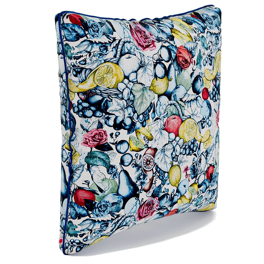 Wonderful Fruit Pieces inspired Pillow