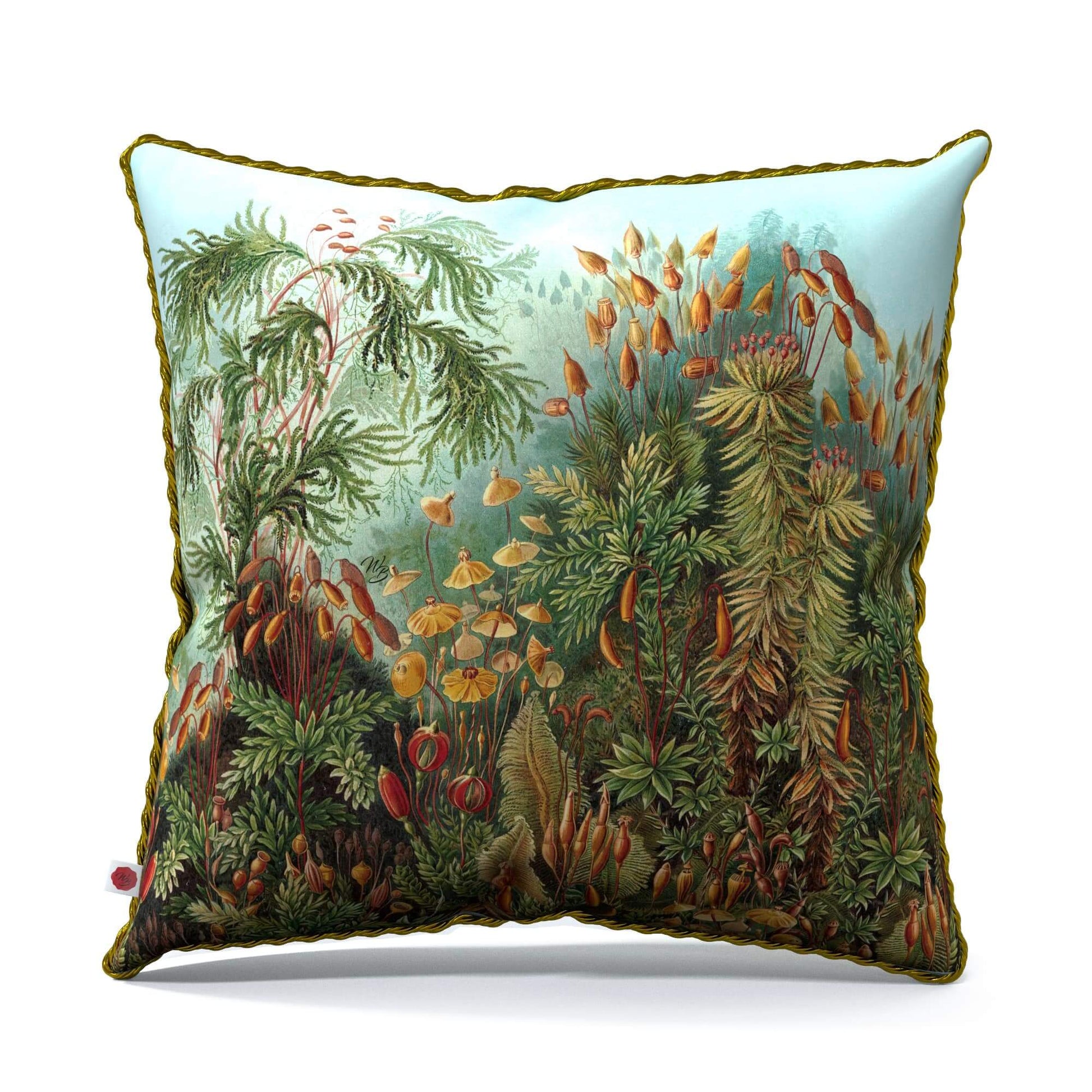 Ernst Haeckel pillow 50 x 50 cm