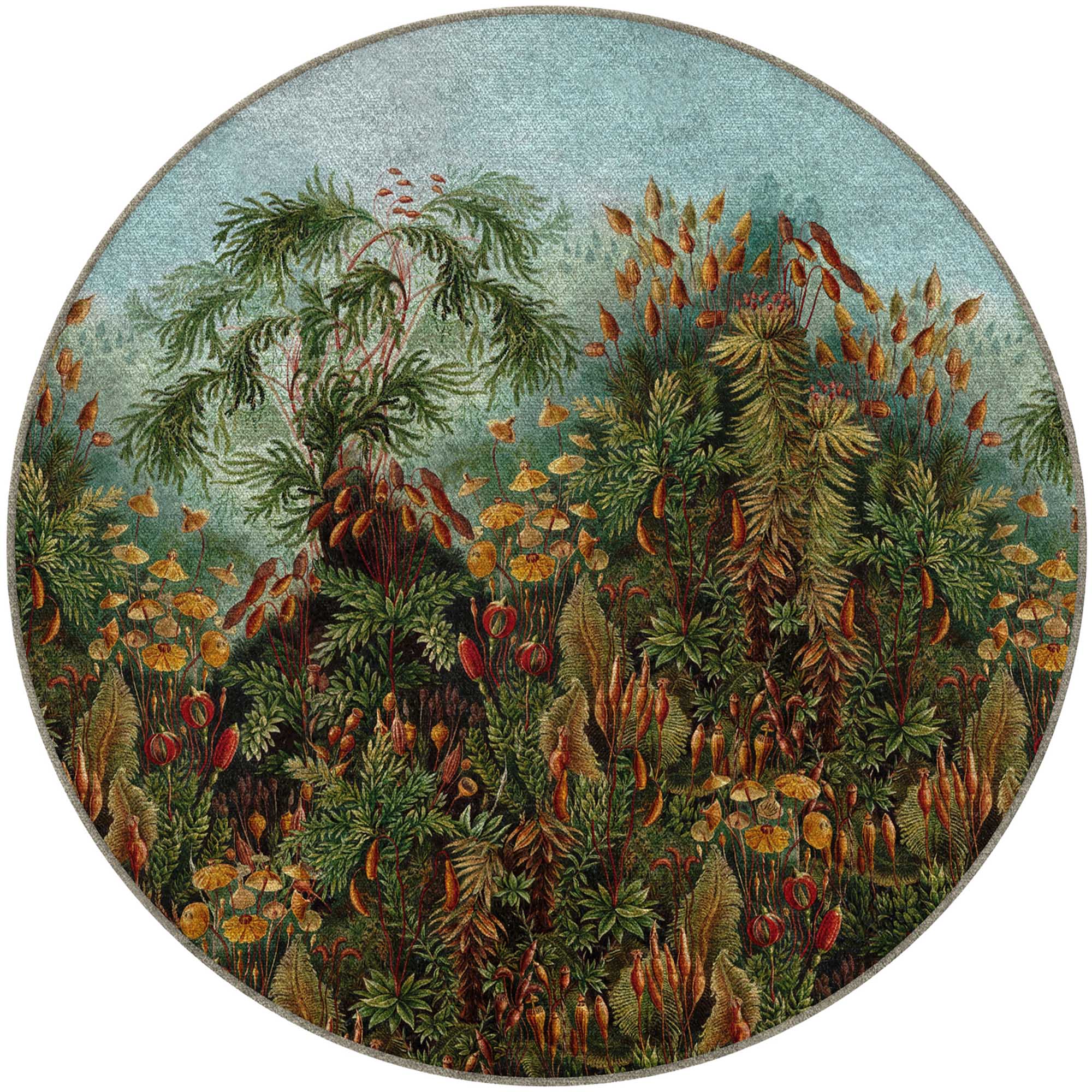 Ernst Haeckel carpet