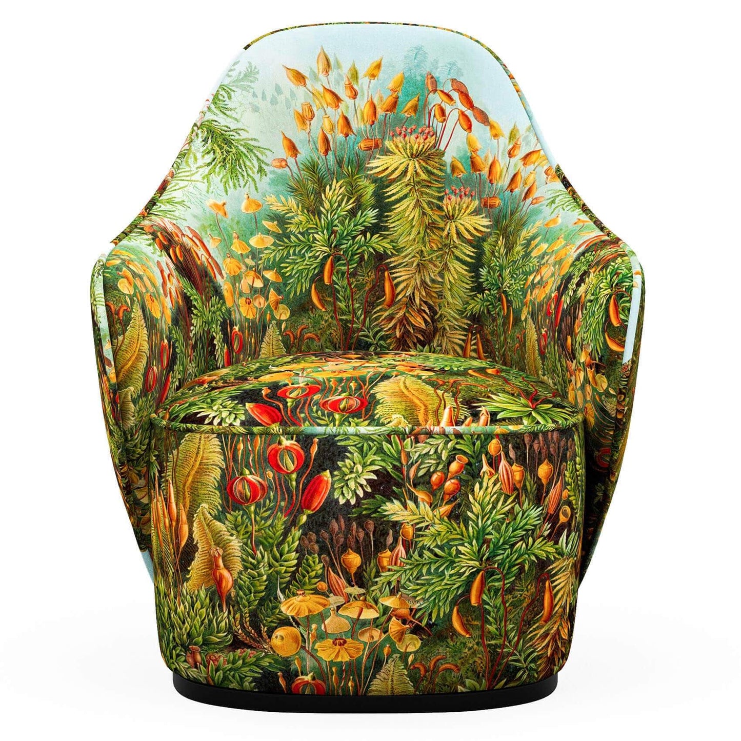 Ernst Haeckel hug armchair